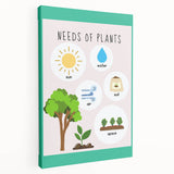 Kids' Room Educational Decor - Needs of Plants Learning Poster