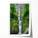 Extra large rolled print featuring a vibrant floral design on a white background, ideal for dining room wall art.