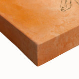 Modern Wall Art - Abstract Lady Design in Warm Earthy Orange Tones