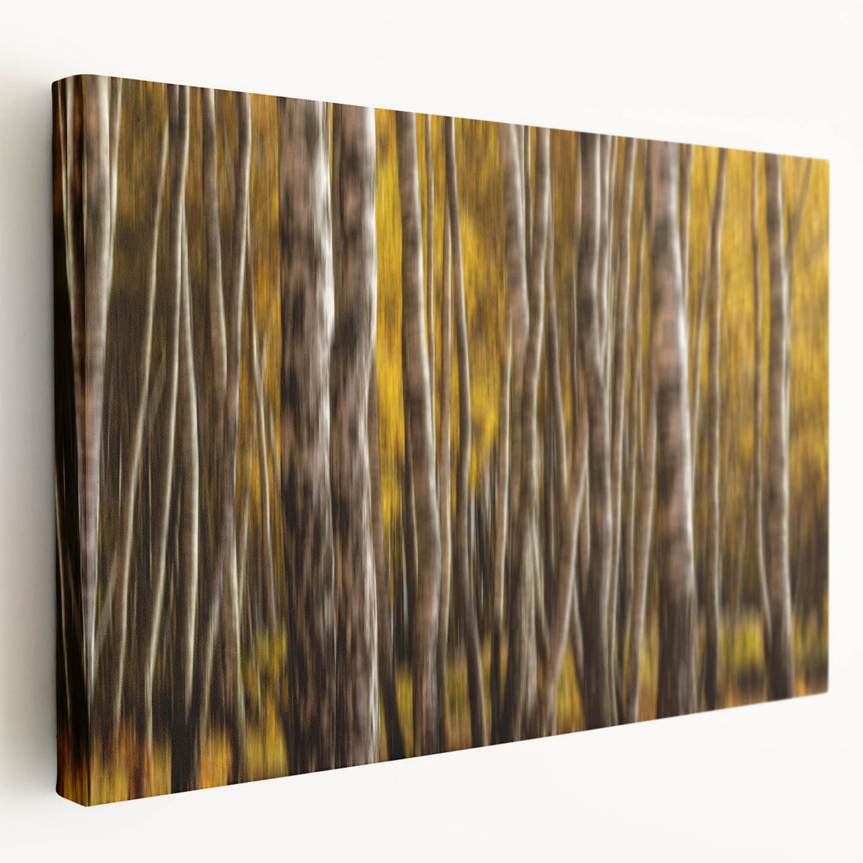 Golden Trunk Flow – Autumn Forest Scene in Artistic Motion Blur