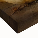 Halloween Wall Decor - Elegant White Pumpkin Still Life Print