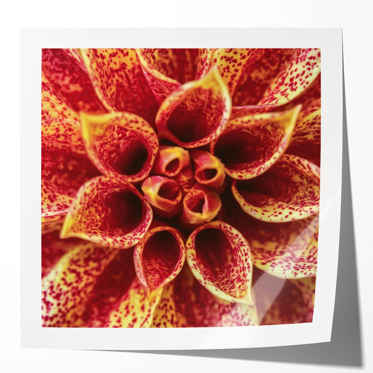 Extra large floral art print on glossy canvas, featuring vibrant pink and green tones.
