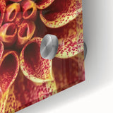 Large abstract floral art on acrylic glass in muted earth tones, ideal for dining room art.