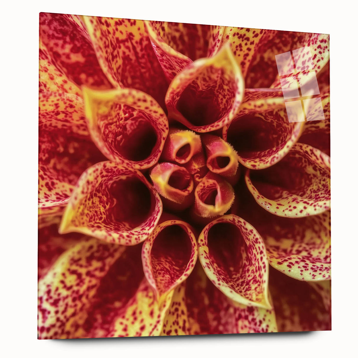Large abstract wall art featuring fluid floral patterns in soft pink and green hues on acrylic glass.