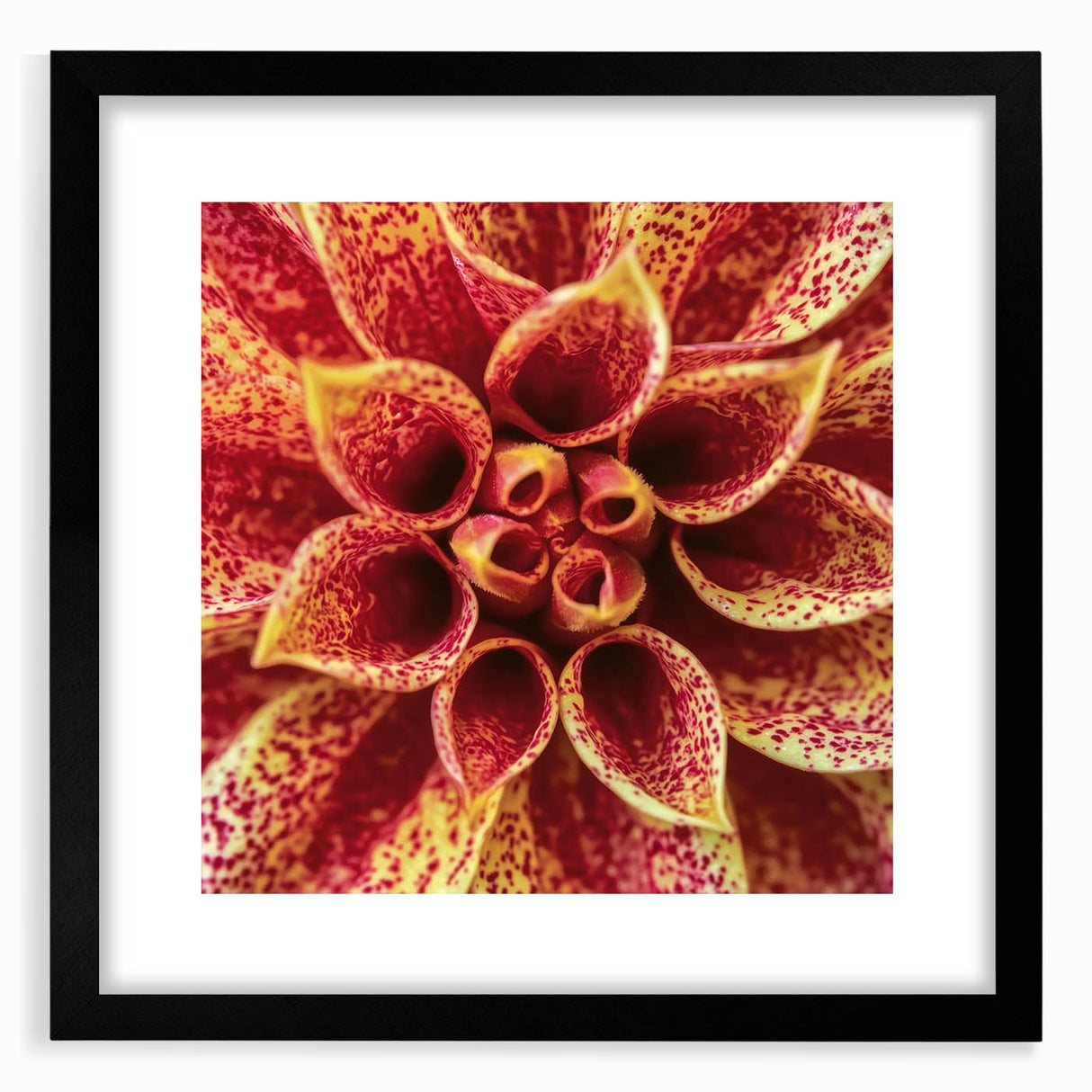 Extra large abstract art print featuring vibrant, colorful floral designs on a textured canvas, framed in black.