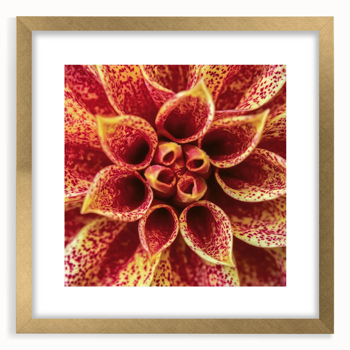 Extra large abstract art print featuring textured floral designs in gold and white tones, framed with a matte gold finish.