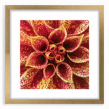 Extra large abstract art print featuring textured floral designs in gold and white tones, framed with a matte gold finish.