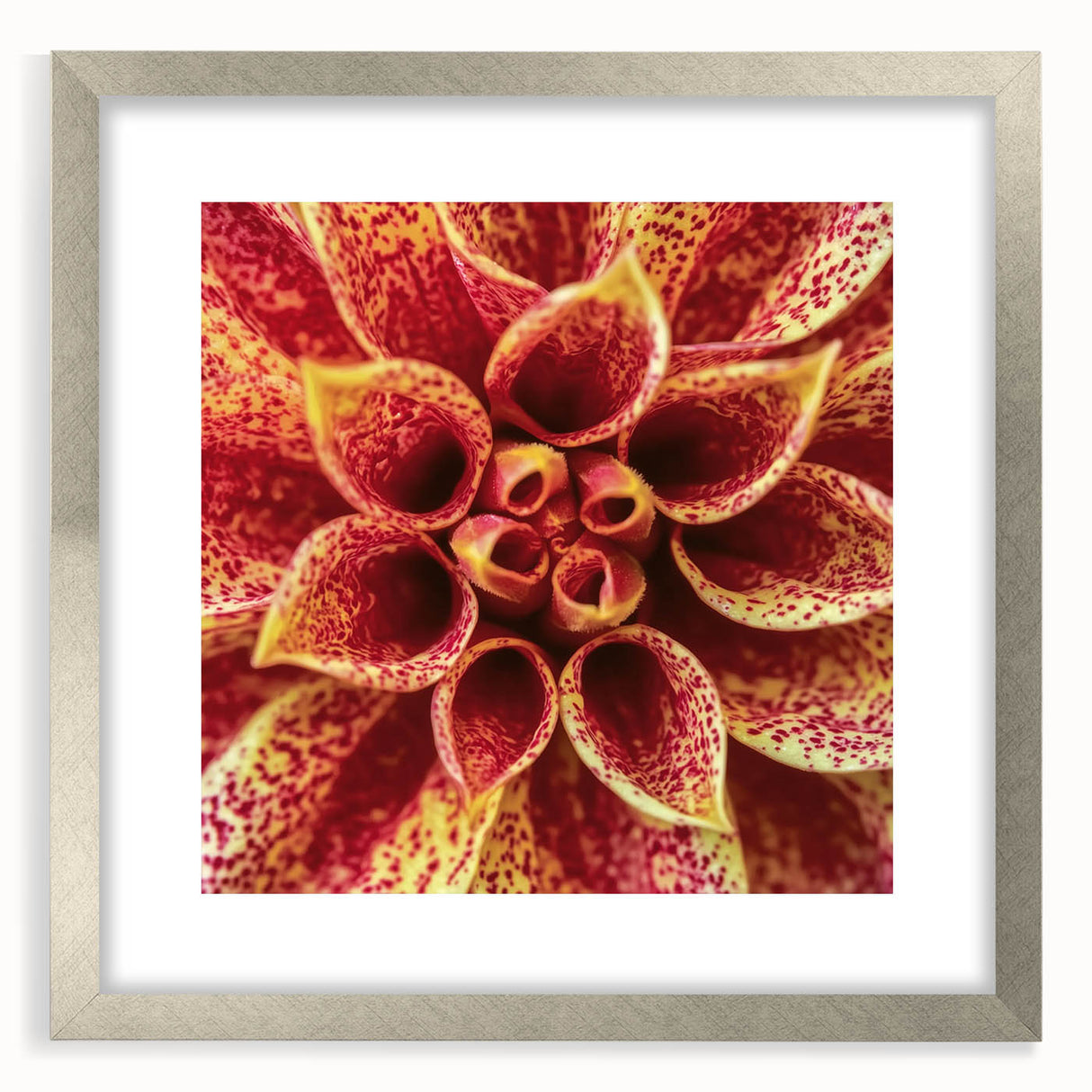 Textured abstract art print featuring close-up floral designs in soft gray and silver tones, framed with a silver mat.