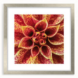 Textured abstract art print featuring close-up floral designs in soft gray and silver tones, framed with a silver mat.