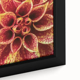 Close-up of black wall art featuring colorful, textured florals on an extra large framed canvas, ideal for living room decor.