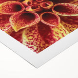 Art deco poster featuring close-up floral designs in vibrant colors on rolled canvas, suitable for dining room decor.