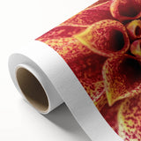 Art deco poster of vibrant floral close-ups on a rolled canvas, ideal for nursery wall art or dining room decor.