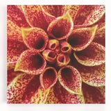 Black and white floral photography on stretched canvas, large format, ideal for kitchen wall art.