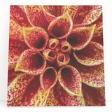 Black and white floral close-up on stretched canvas, suited as kitchen wall art or bedroom decor.