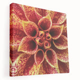 Close-up floral image featuring vivid pink and green tones on a large stretched canvas, suitable for kitchen wall art.