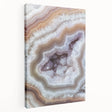 Close-up of natural elements in muted earth tones on a large stretched canvas, suitable for kitchen wall art.