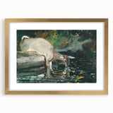 Serene Realism Nature Scene | Deer Drinking by Winslow Homer Art Print