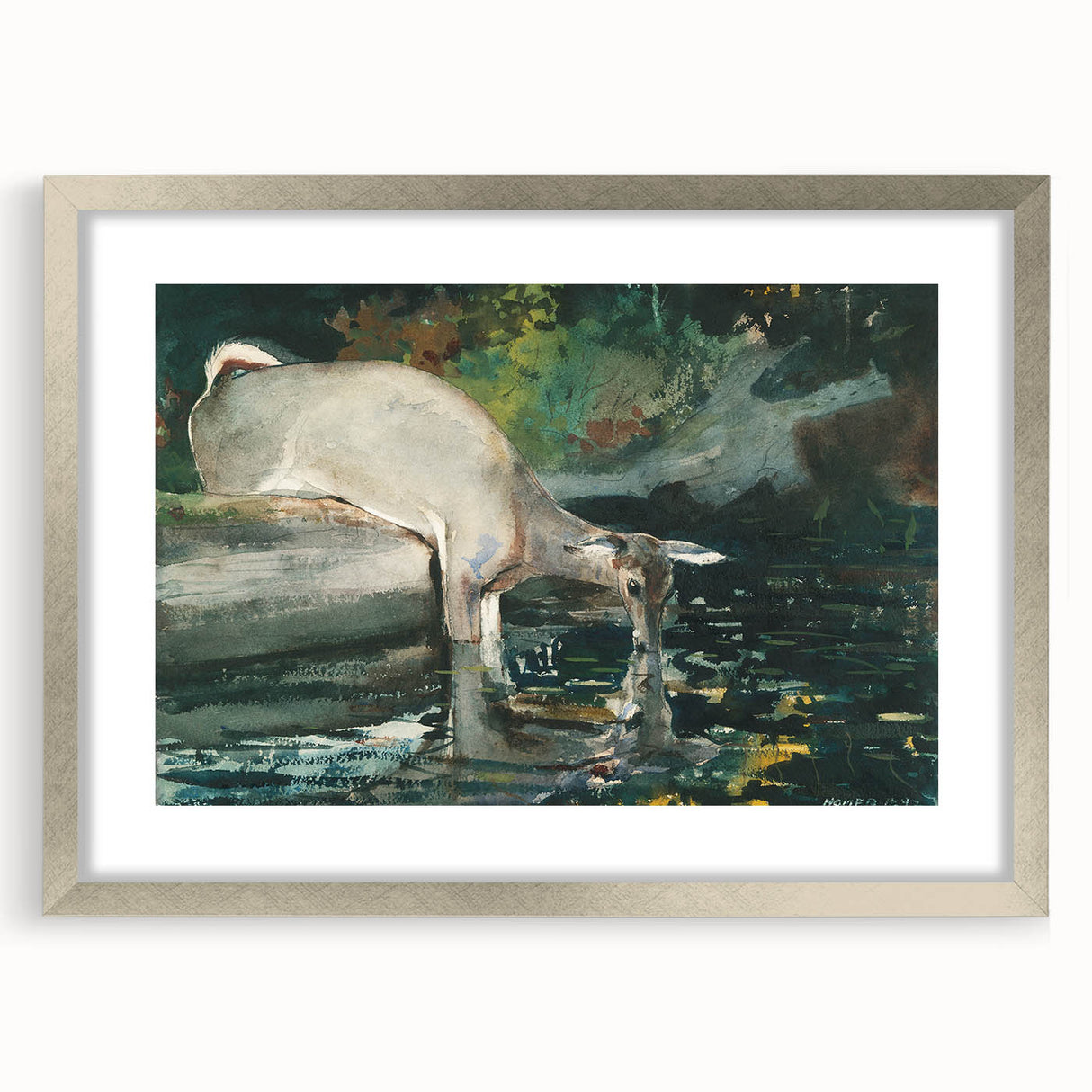 Serene Realism Nature Scene | Deer Drinking by Winslow Homer Art Print