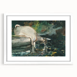 Serene Realism Nature Scene | Deer Drinking by Winslow Homer Art Print