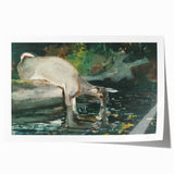 Serene Realism Nature Scene | Deer Drinking by Winslow Homer Art Print