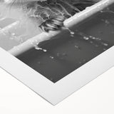 Playful Fox Bathroom Wall Art - Fun Black and White Bathroom Decor