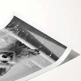 Playful Fox Bathroom Wall Art - Fun Black and White Bathroom Decor