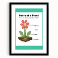 ABC Alphabet Canvas Art - Parts of a Plant Kids Learning Print