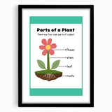 ABC Alphabet Canvas Art - Parts of a Plant Kids Learning Print