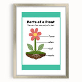 ABC Alphabet Canvas Art - Parts of a Plant Kids Learning Print