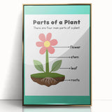 ABC Alphabet Canvas Art - Parts of a Plant Kids Learning Print