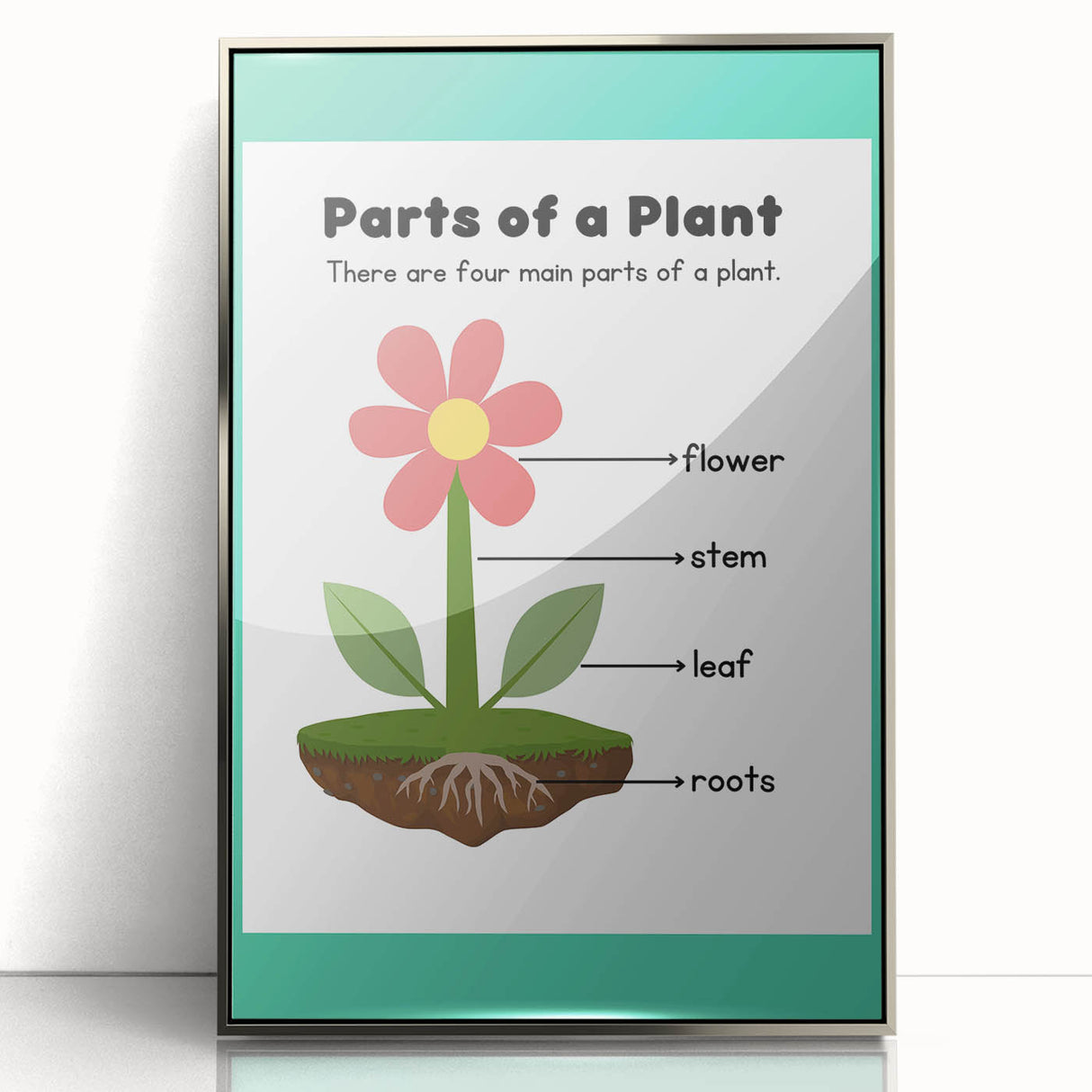 ABC Alphabet Canvas Art - Parts of a Plant Kids Learning Print