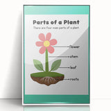 ABC Alphabet Canvas Art - Parts of a Plant Kids Learning Print