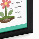 ABC Alphabet Canvas Art - Parts of a Plant Kids Learning Print