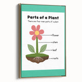 ABC Alphabet Canvas Art - Parts of a Plant Kids Learning Print