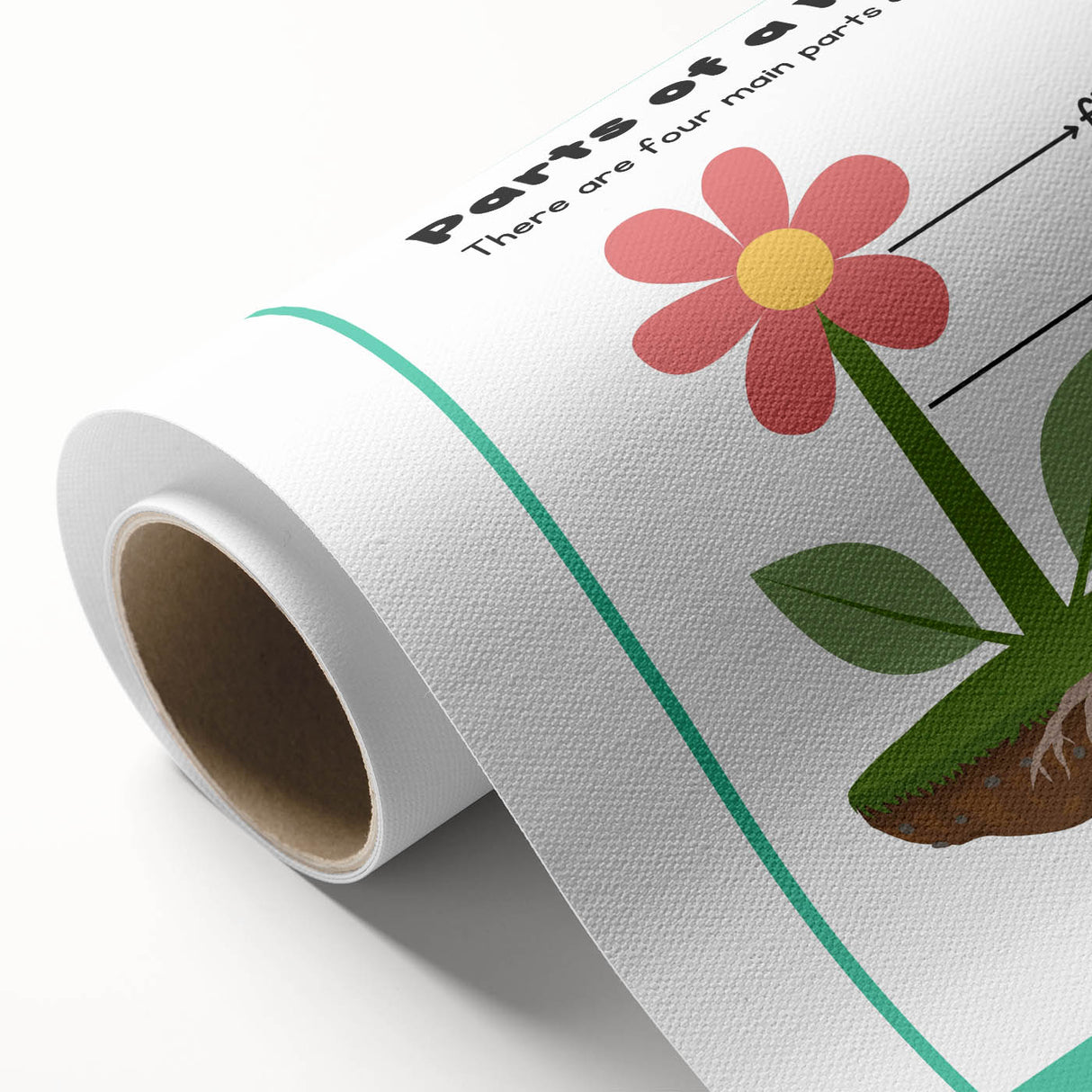 ABC Alphabet Canvas Art - Parts of a Plant Kids Learning Print