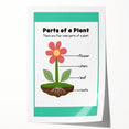 ABC Alphabet Canvas Art - Parts of a Plant Kids Learning Print