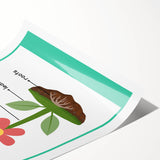 ABC Alphabet Canvas Art - Parts of a Plant Kids Learning Print