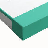 ABC Alphabet Canvas Art - Parts of a Plant Kids Learning Print