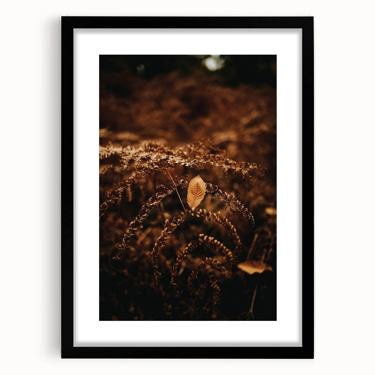 Extra large abstract art print featuring textured fall colors on a black framed canvas, ideal for living room decor.