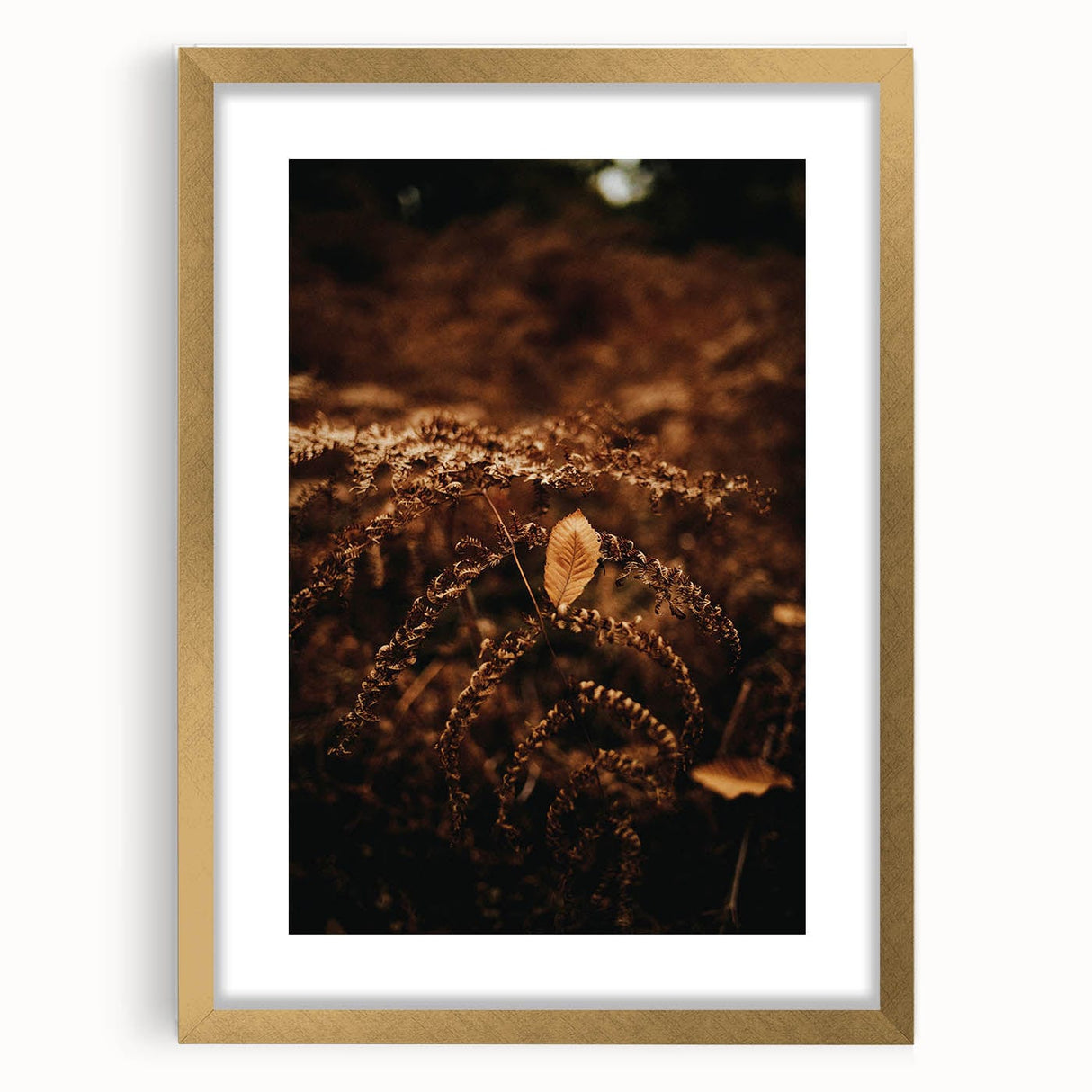 Extra large abstract art print with textured fall motifs in gold and orange hues, framed with a mat.