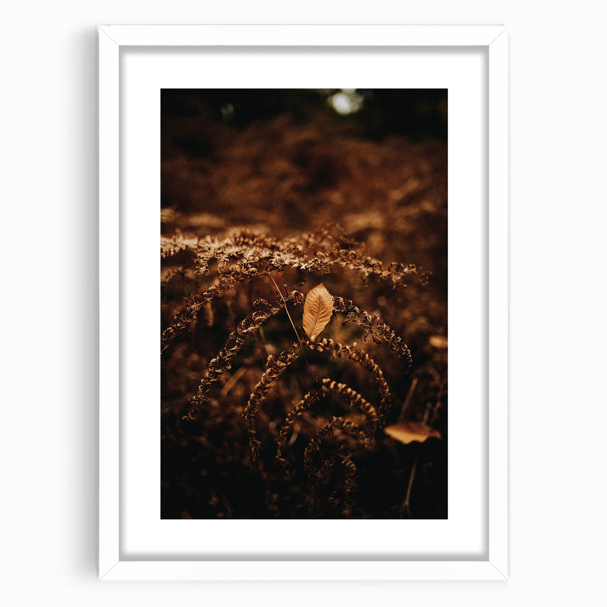 Abstract art print depicting autumnal trees in orange and yellow tones on a white framed canvas.