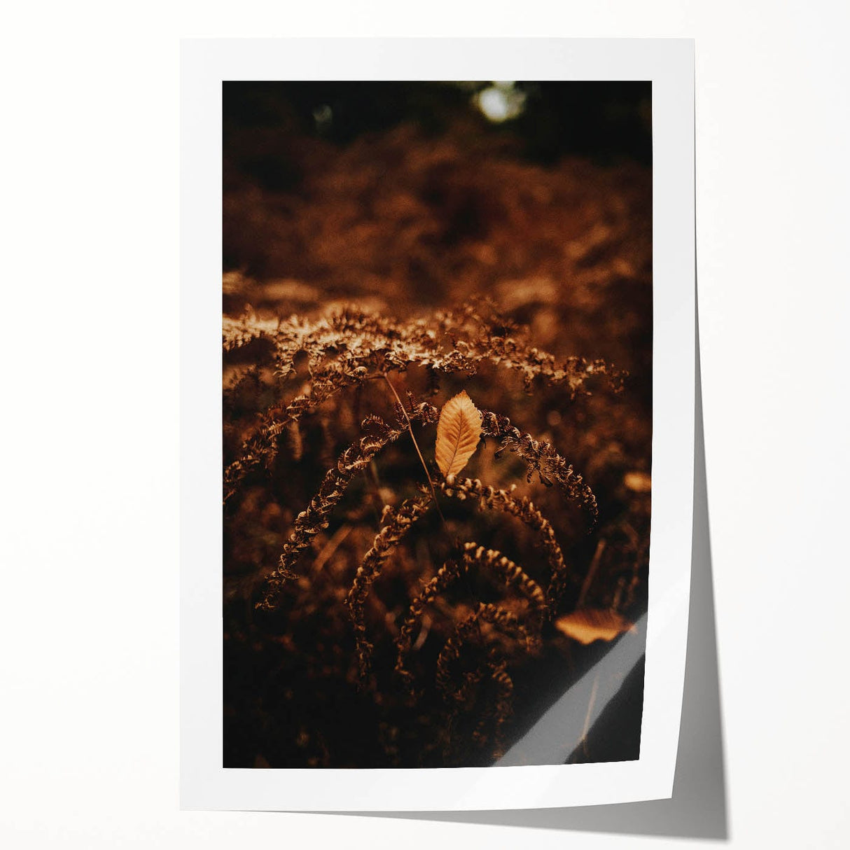 Extra large rolled print featuring a fall-themed floral design in warm orange and red tones, ideal for art wall dining room.
