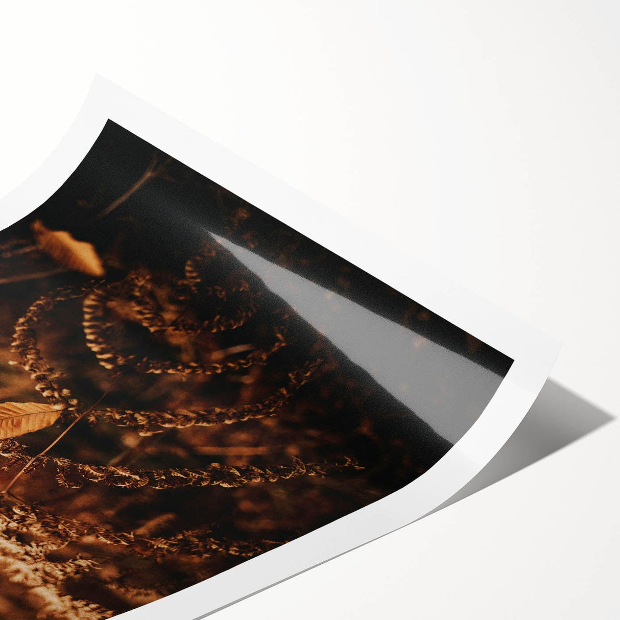 Extra large rolled print featuring line art flowers in muted autumn tones, ideal for large living room wall art.