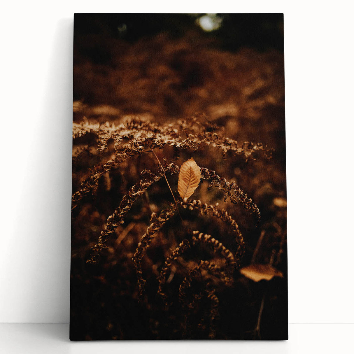 Large black and white stretched canvas depicting a minimalist fall tree.