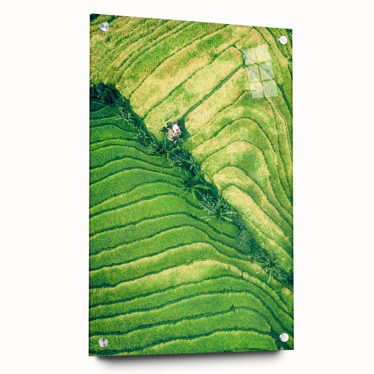 Large abstract wall art on acrylic glass depicting vibrant spring colors, ideal for bedroom or dining room decor.