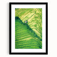 Extra large abstract art print featuring vibrant spring hues on textured canvas, framed in black.
