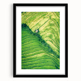 Extra large abstract art print featuring vibrant spring hues on textured canvas, framed in black.