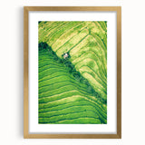Extra large abstract art print of spring-themed textured design in vibrant green and gold, framed in gold.