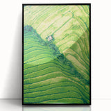 Large abstract wall art featuring spring-themed colors in mid-century modernist style, framed in black acrylic.
