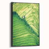 Black and white vintage poster art on framed canvas, featuring a spring landscape, ideal for bedroom wall decor.